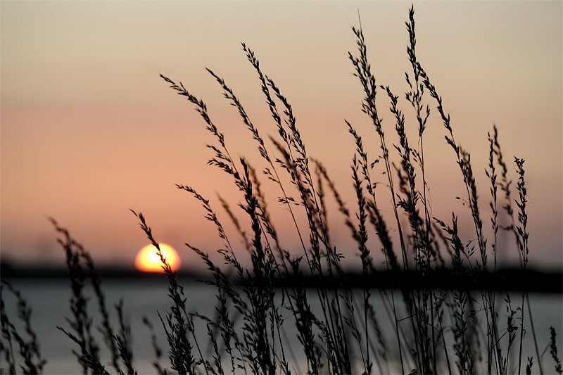 Sonnenuntergang Holland 6 - 2013 _SAM_1755 als Smart-Objekt-1 Kopie.jpg